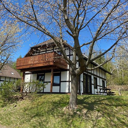 Ferienwohnung Lix direkt am Waldrand Frankenau Exterior foto