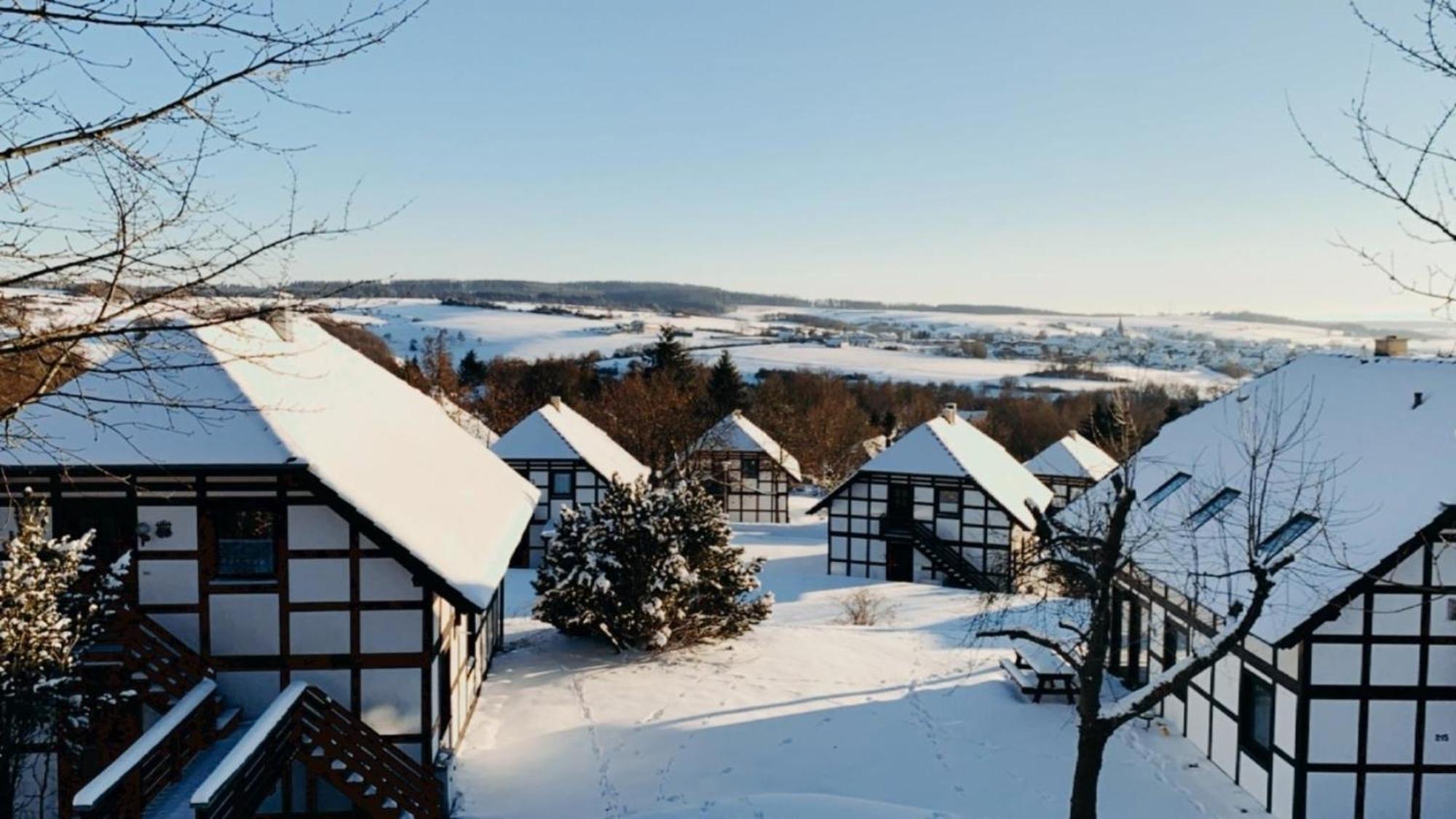 Ferienwohnung Lix direkt am Waldrand Frankenau Exterior foto