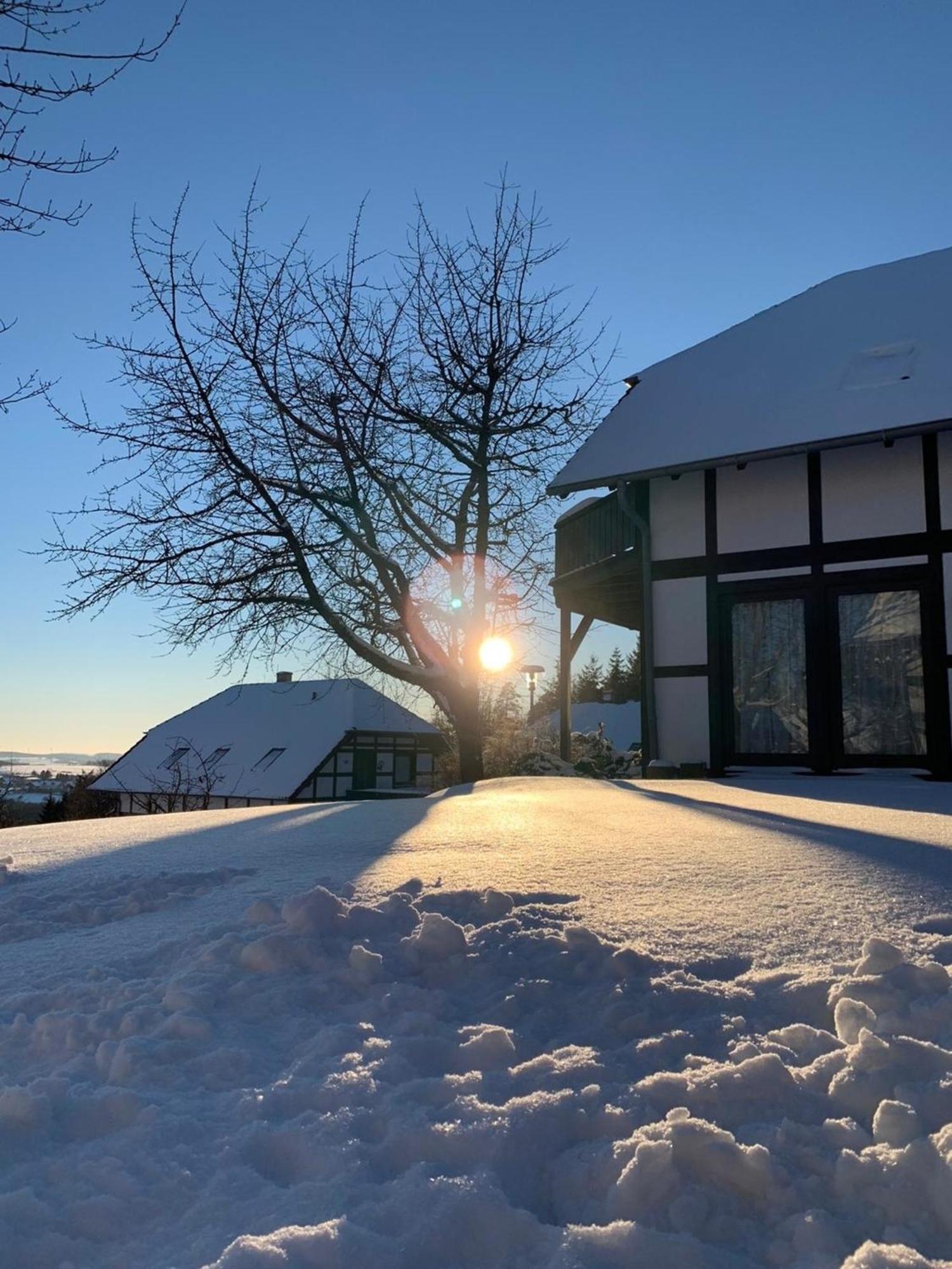 Ferienwohnung Lix direkt am Waldrand Frankenau Exterior foto