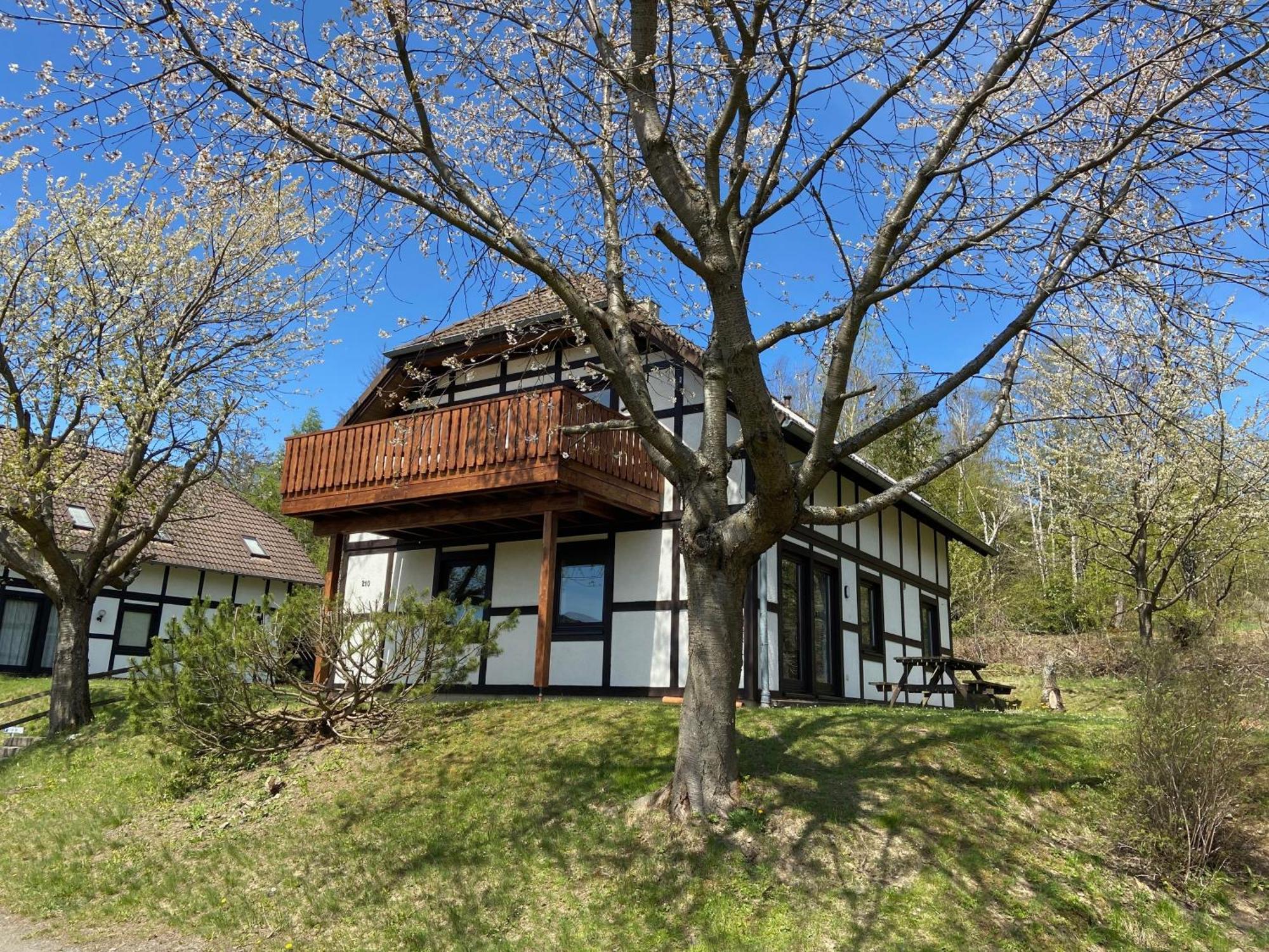 Ferienwohnung Lix direkt am Waldrand Frankenau Exterior foto